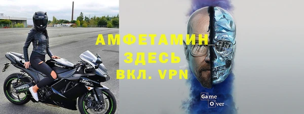 прущие грибы Магадан
