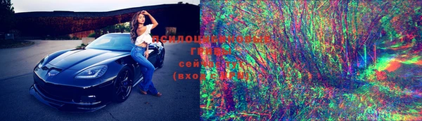 прущие грибы Майский
