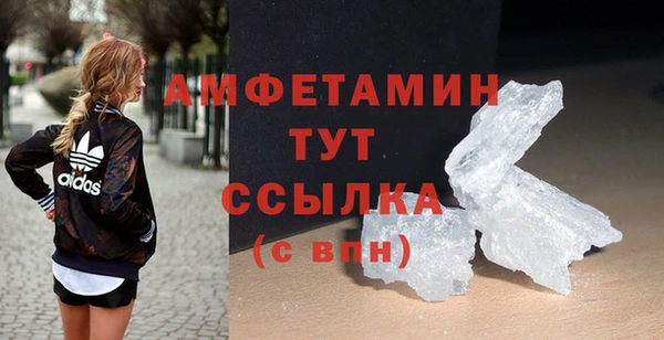 прущие грибы Магадан