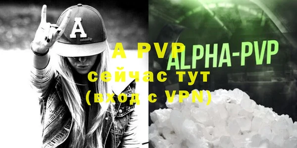 прущие грибы Майский
