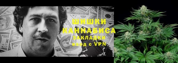 прущие грибы Магадан